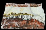 Colorful Slab of Dendrites On Limestone - Utah #133270-3